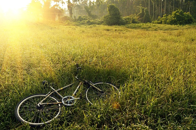 Små hjul, store eventyr: Din guide til børnevenlige mountainbikes
